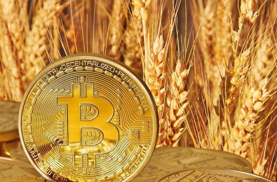 比特币波段是什么意思（比特币波段的做法）-第1张图片-芝麻交易所下载